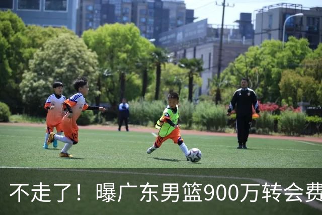 不走了！曝广东男篮900万转会费签下昔日状元内线，杜锋拒绝摆烂