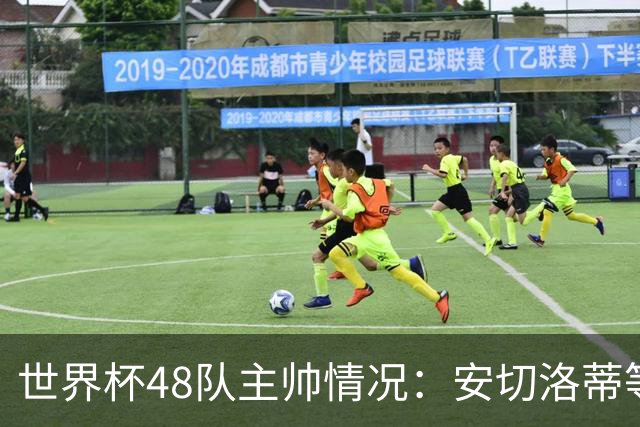 世界杯48队主帅情况：安切洛蒂等25人留任，德尚、纳帅离职