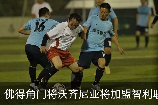 佛得角门将沃齐尼亚将加盟智利联赛劲旅 零转会费签约