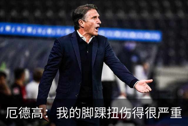 厄德高：我的脚踝扭伤得很严重