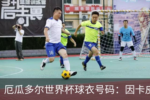 厄瓜多尔世界杯球衣号码：因卡皮耶3号，帕乔6号，凯塞多23号