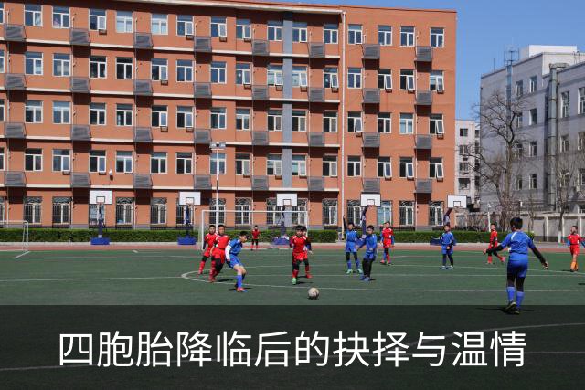 四胞胎降临后的抉择与温情