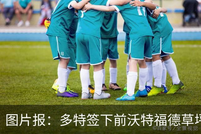 图片报：多特签下前沃特福德草坪主管，出任俱乐部场地管理负责人