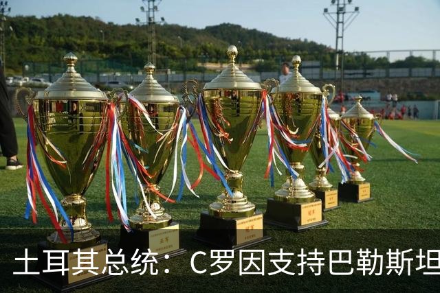 土耳其总统：C罗因支持巴勒斯坦而遭受政治打压