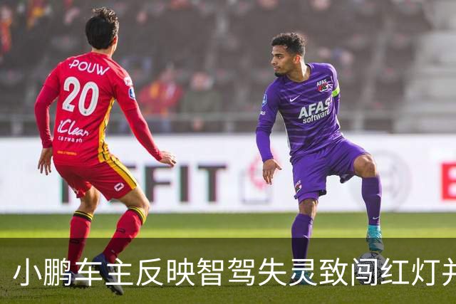 小鹏车主反映智驾失灵致闯红灯并伴随异响