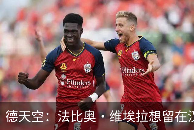 德天空：法比奥·维埃拉想留在汉堡 汉堡正在与阿森纳谈