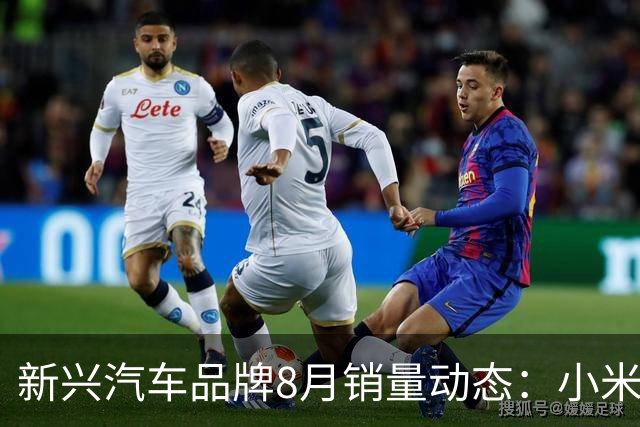 新兴汽车品牌8月销量动态：小米交付超3万台，鸿蒙智行突破4万台