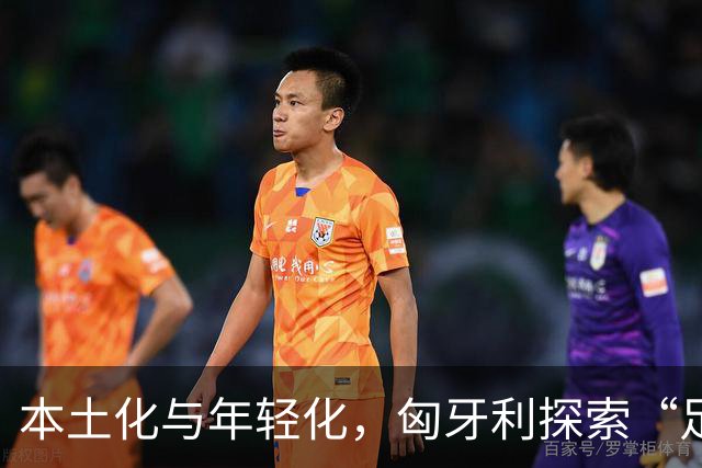 本土化与年轻化，匈牙利探索“足球小国”转型之路