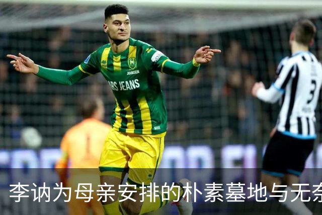 李讷为母亲安排的朴素墓地与无奈选择