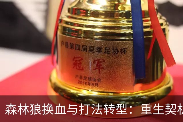 森林狼换血与打法转型：重生契机还是豪赌？