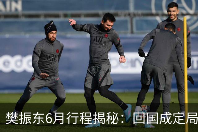 樊振东6月行程揭秘：回国成定局，他会与王励勤展开重要会谈吗？