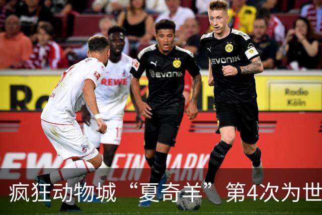 疯狂动物城“夏奇羊”第4次为世界杯开嗓，版税将全捐用于贫困儿童教育