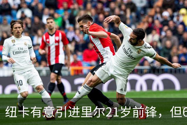 纽卡有意引进里尔21岁前锋，但6000万英镑身价成疑