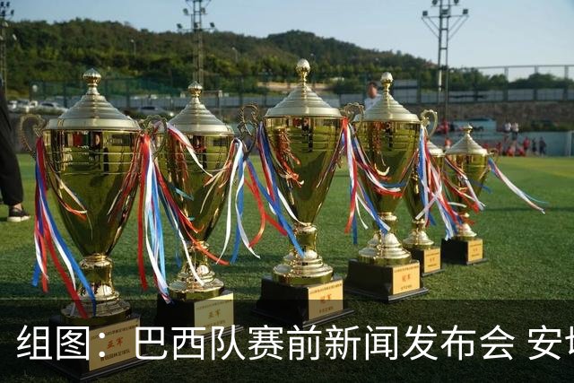 组图：巴西队赛前新闻发布会 安切洛蒂出席