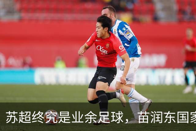 苏超终究是业余足球，苗润东国家队表现一般！孙继海邵佳一说中了
