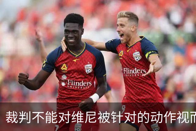 裁判不能对维尼被针对的动作视而不见