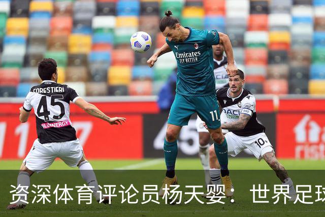 资深体育评论员杨天婴：世界足球的风格正在相融 中国足球尊重规律才能进步 @杨天婴